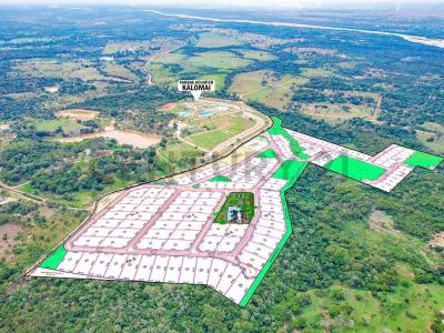 Urubo Camino , Urubo, Santa Cruz, Bolivia