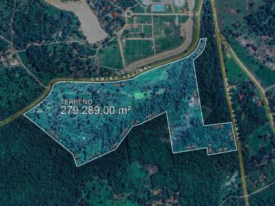 Urubo Camino , Urubo, Santa Cruz, Bolivia