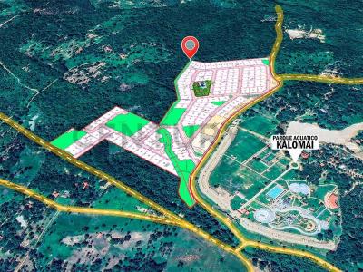 Urubo Camino , Urubo, Santa Cruz, Bolivia