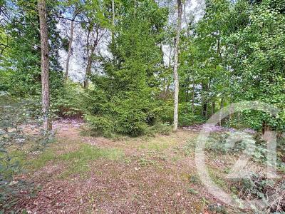 Villefranche Sur Cher, 中部 41200, 法国