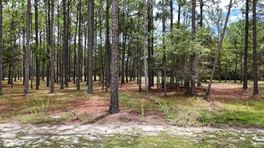6444 Waterbrook Way Lot 158 SW, Ocean Isle Beach, شمال كارولينا 28469, الولايات المتحدة