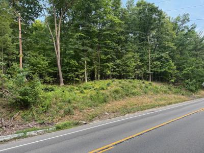 St Rt 54, Urbana, Nova Iorque 14840, Estados Unidos