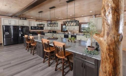 1481 Sleepy Valley Lane, Sevierville, Tennessee 37876, Estados Unidos