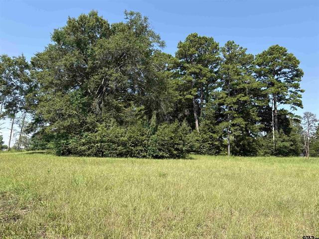 000 Fannin Parkway, Tyler, 得克萨斯州 75708, 美国