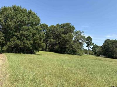 000 Fannin Parkway, Tyler, 得克萨斯州 75708, 美国