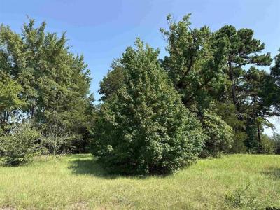 000 Fannin Parkway, Tyler, 得克萨斯州 75708, 美国