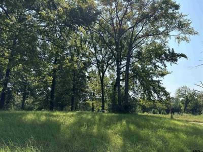 000 Fannin Parkway, Tyler, 得克萨斯州 75708, 美国