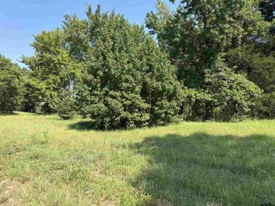 000 Fannin Parkway, Tyler, 得克萨斯州 75708, 美国