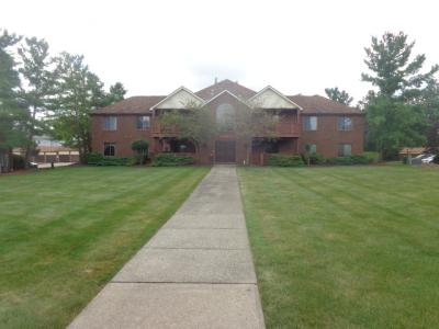 8647 Scenicview Dr. #205, Broadview Heights, 俄亥俄州 44147, 美國