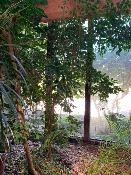 970 E Main Street 101, Grass Valley, كاليفورنيا 95945, الولايات المتحدة