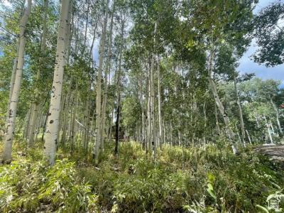 11485 VIOLET WAY 1845, Heber City, Utah 84032, États-Unis