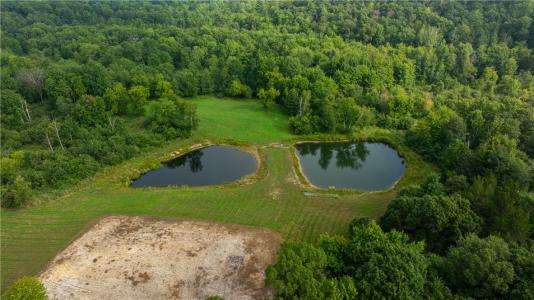 W14006 County Road B, Fairchild, Wisconsin 54741, USA