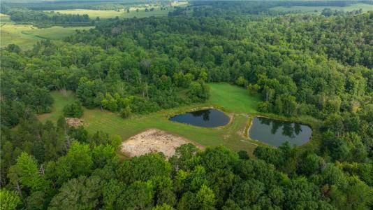 W14006 County Road B, Fairchild, Wisconsin 54741, USA