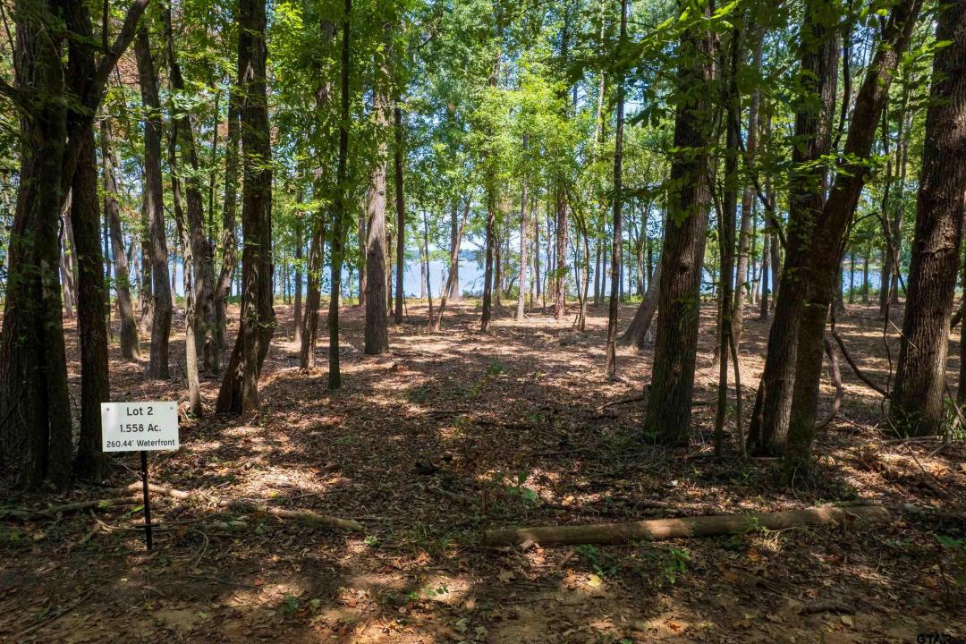 Lot 2 Big Oaks, Leesburg, Texas 75451, États-Unis