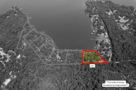 Lot 1 Big Oaks, Leesburg, Texas 75451, États-Unis