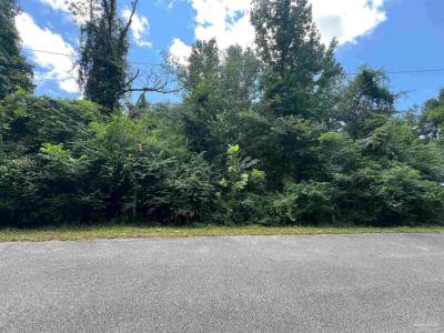 1100 BLK Mckinnonville St, Molino, Florida 32577, Amerika Birleşik Devletleri