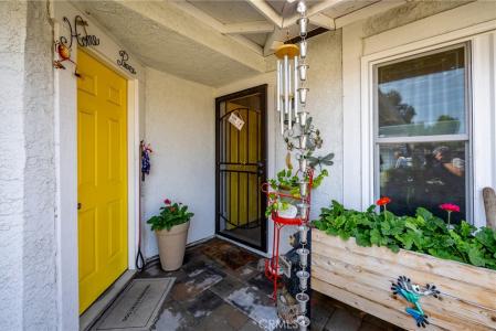 206 Oak Meadow Lane, Paso Robles, California 93446, Estados Unidos