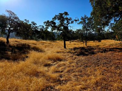 1 Lilley Mountain Drive, Coarsegold, Califórnia 93614, Estados Unidos