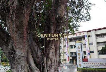 成泰路三段, Wugu Dist., New Taipei City 248, Taiwan