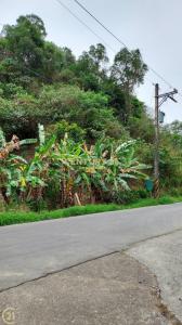觀音湖段, Renwu Dist., Kaohsiung 814, Taïwan