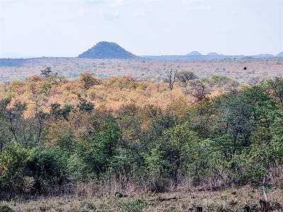 Phalaborwa, Limpopo, דרום אפריקה