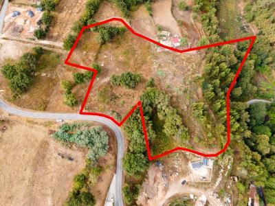 Marco De Canaveses, Porto 4630-158, Bồ Đào Nha