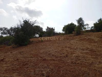 Olhão, Faro 8700-072, Portugal