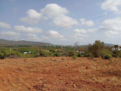 Olhão, Faro 8700-072, Portugal