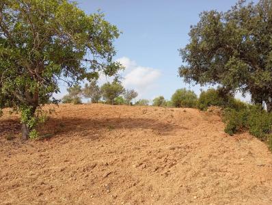 Olhão, Faro 8700-072, Portugal