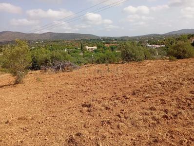 Olhão, Faro 8700-072, Portugal