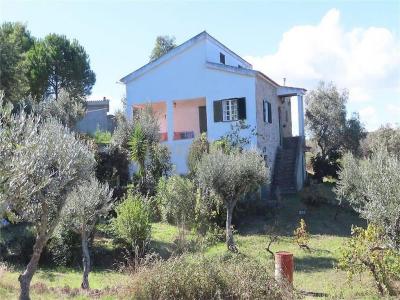 Castelo Branco, Castelo Branco 6005-250, Portugal