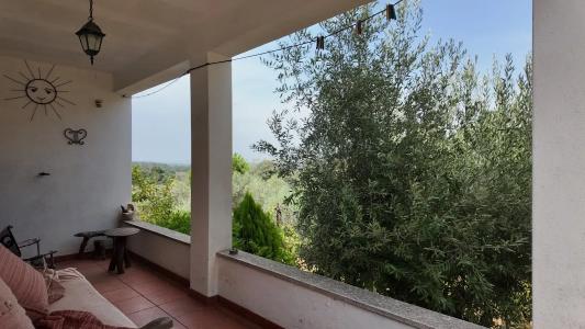 カステロ・ブランコ, カステロ・ブランコ 6005-250, ポルトガル