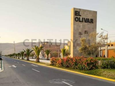 El Olivar Centenario , Tacna, Tacna 00001, Peru