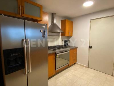 Bosque Galo ,, García, Nuevo León 66024, México