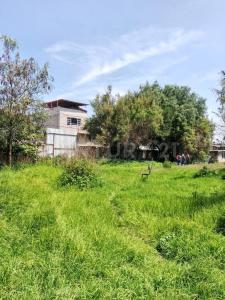 Ecatepec De Morelos, Estado De México 55067, México