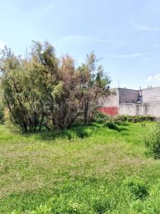 Ecatepec De Morelos, Estado De México 55067, México