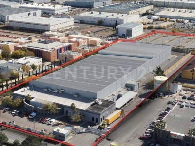 Chihuahua, Chihuahua 31136, México