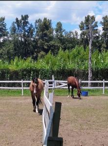 HARAS DEL SOL 0, Pilar, GBA Norte 00001, Argentina