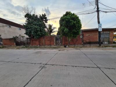 Este, Santa Cruz 0000, Bolivia