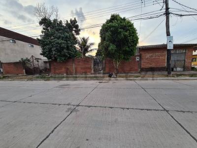 Este, Santa Cruz 0000, Bolivia