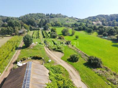 Radebeul, Sachsen 01445, Allemagne