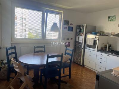 Opekarniška cesta, Celje, Savinjska 3000, 슬로베니아