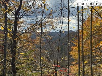 Tbd Globe Road, Lenoir, NC 28645, USA