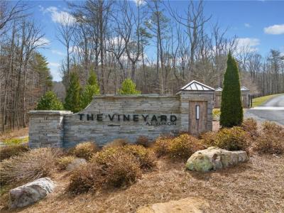 Lot 21 High Summit Drive, Talking Rock, Georgia 30175, USA