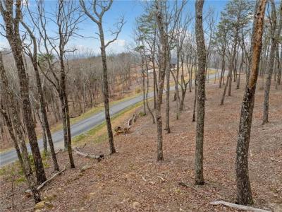 Lot 21 High Summit Drive, Talking Rock, Géorgie 30175, États-Unis