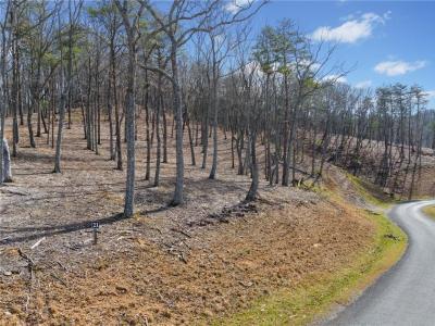 Lot 21 High Summit Drive, Talking Rock, Géorgie 30175, États-Unis