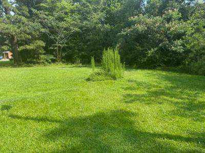 513 Hall Siding Road, Ahoskie, Caroline Du Nord 27910, États-Unis