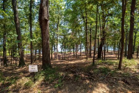 Lot 5 Big Oaks, Leesburg, Texas 75451, États-Unis