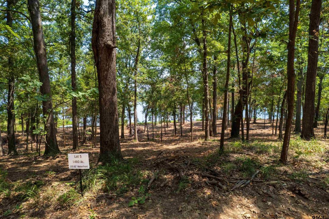 Lot 5 Big Oaks, Leesburg, Texas 75451, États-Unis