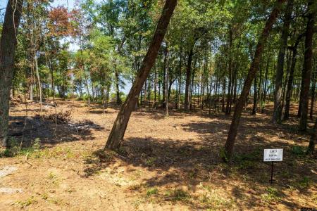 Lot 3 Big Oaks, Leesburg, Texas 75451, États-Unis